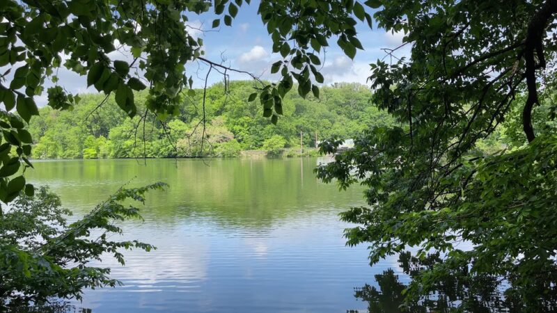 Lake Roland Park - Baltimore, MD