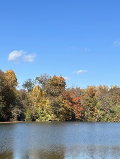 Lake Roland Park - Baltimore, MD