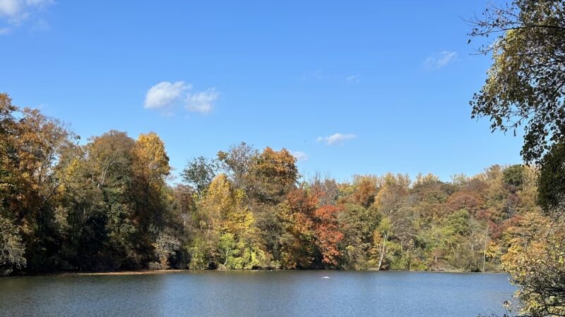 Lake Roland Park - Baltimore, MD