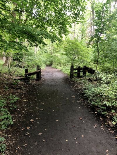 Lake Roland Park - Baltimore, MD