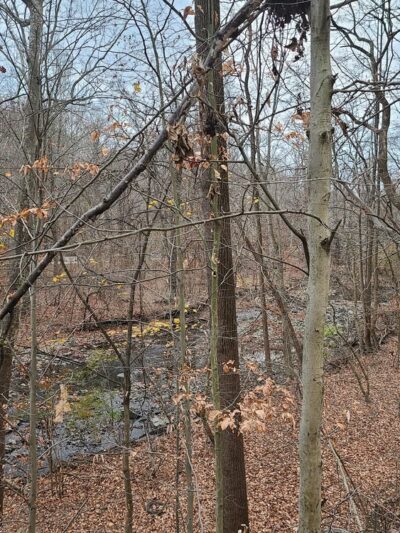 Leakin Park - Baltimore, MD