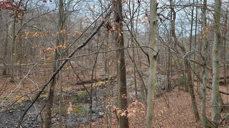 Leakin Park - Baltimore, MD