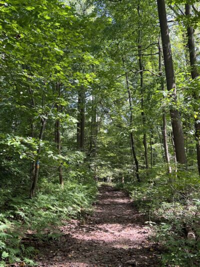 Leakin Park at Winans Meadow - Baltimore, MD