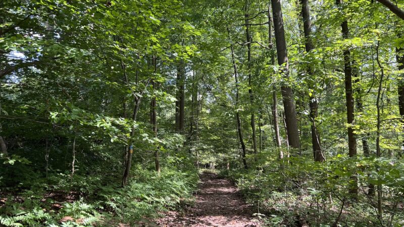 Leakin Park at Winans Meadow - Baltimore, MD