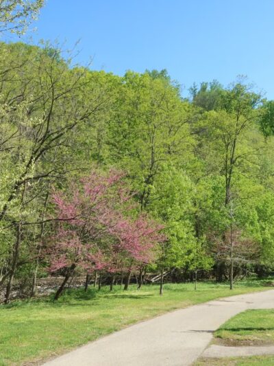 Leakin Park at Winans Meadow - Baltimore, MD