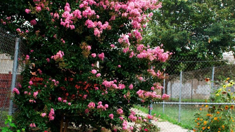 McAllister Park - Baltimore, MD