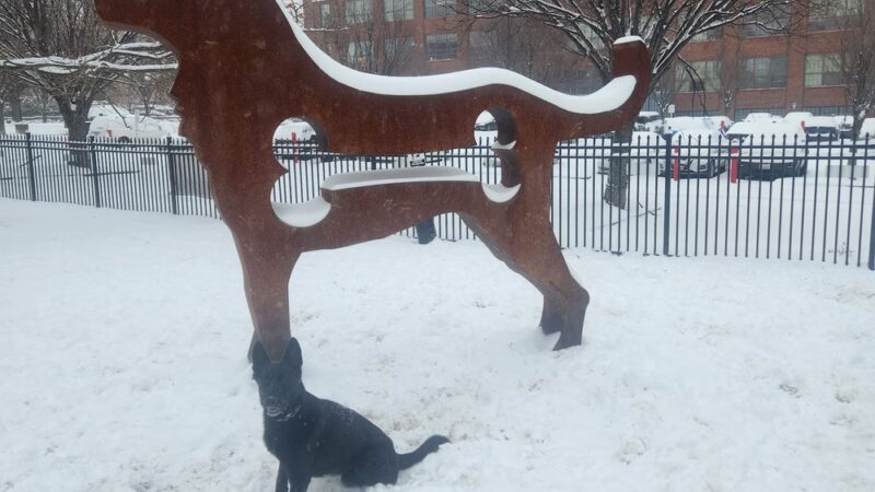 Penny's Park - Baltimore, MD