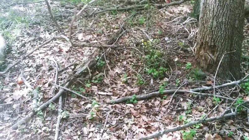 Powdermill Run Park - Baltimore, MD