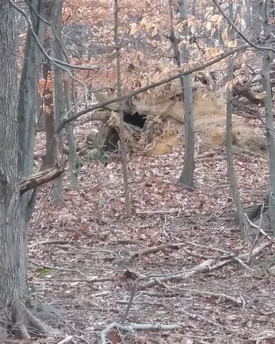 Powdermill Run Park - Baltimore, MD