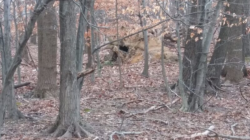 Powdermill Run Park - Baltimore, MD