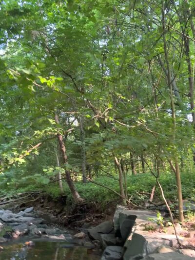 Stony Run Park - Baltimore, MD