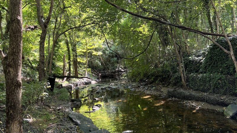 Stony Run Park - Baltimore, MD