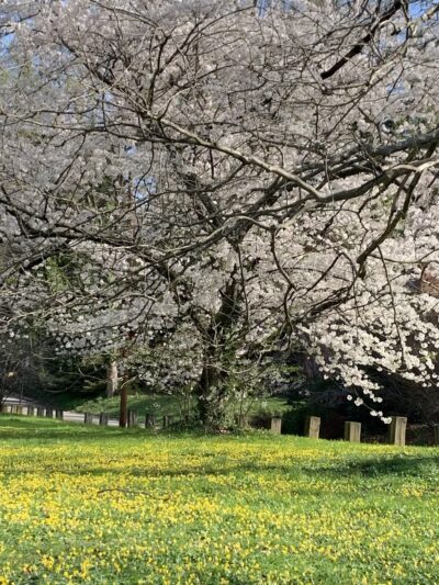Stony Run Park - Baltimore, MD