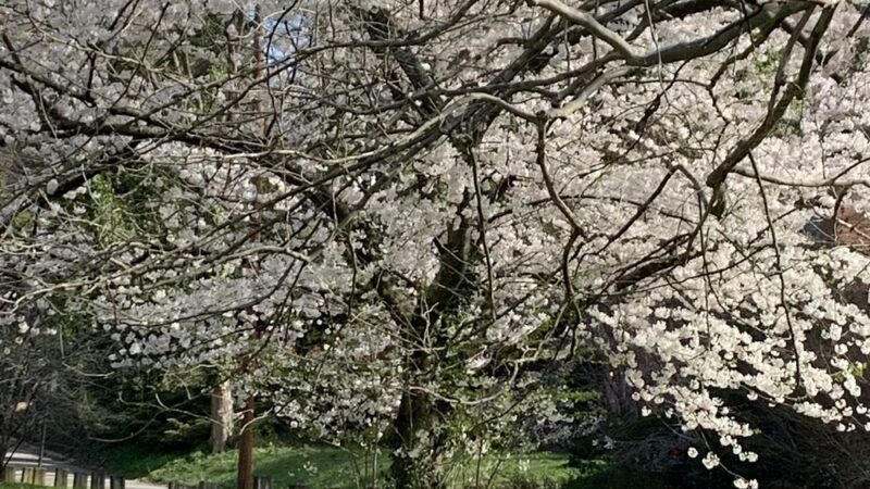 Stony Run Park - Baltimore, MD
