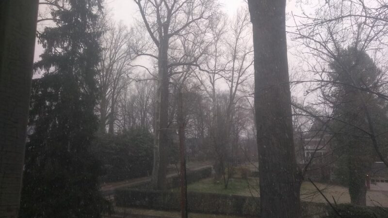 Windsor Hills Park - Baltimore, MD