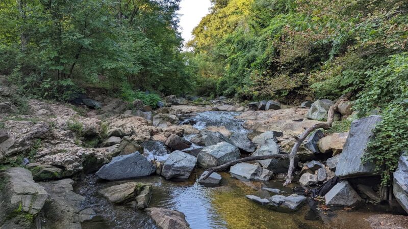 Wyman Park - Baltimore, MD