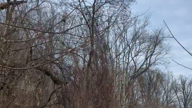 Wyman Park - Baltimore, MD