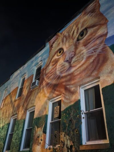 Wyman Park - Baltimore, MD