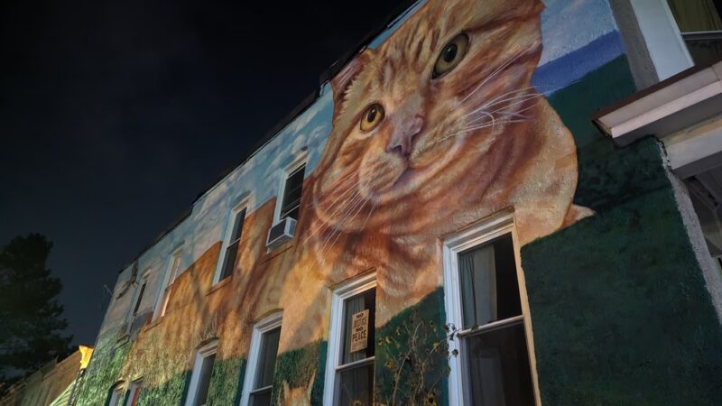 Wyman Park - Baltimore, MD