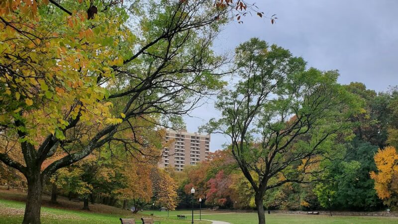 Wyman Park - Baltimore, MD