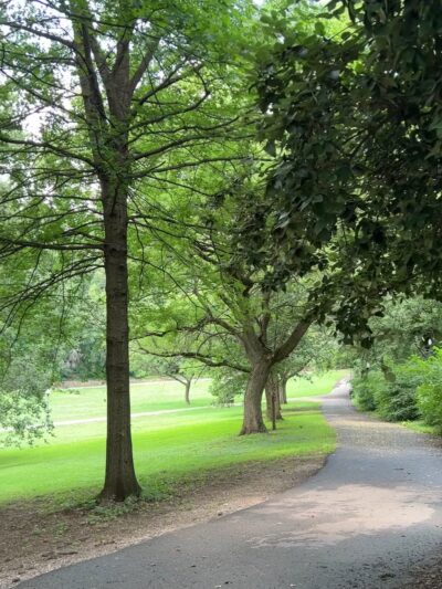 Wyman Park Dell - Baltimore, MD