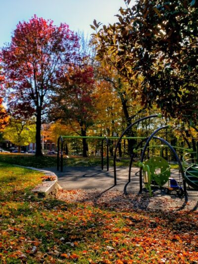 Wyman Park Dell - Baltimore, MD