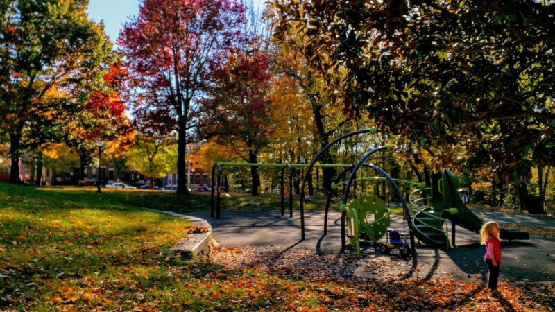 Wyman Park Dell - Baltimore, MD