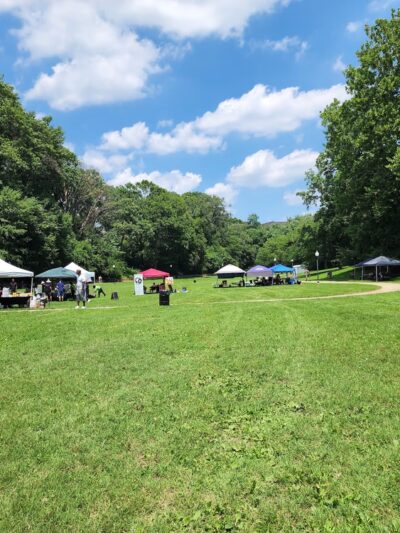 Wyman Park Dell - Baltimore, MD