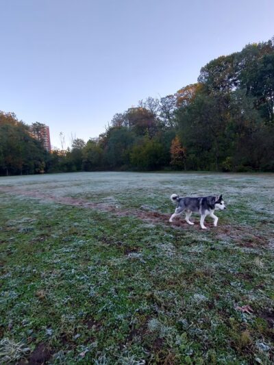 Wyman Park Lower Field - Baltimore, MD
