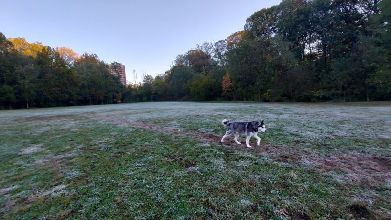 Wyman Park Lower Field - Baltimore, MD