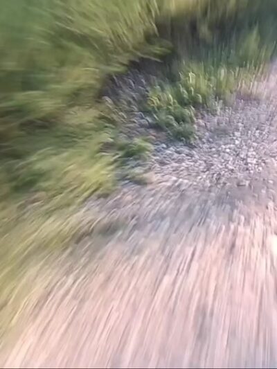 Wyman Park Lower Field - Baltimore, MD