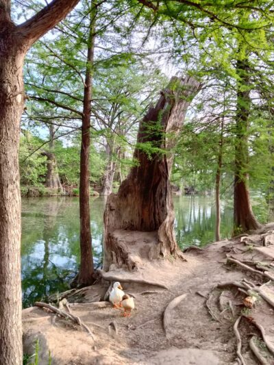 Bandera City Park - Bandera, TX