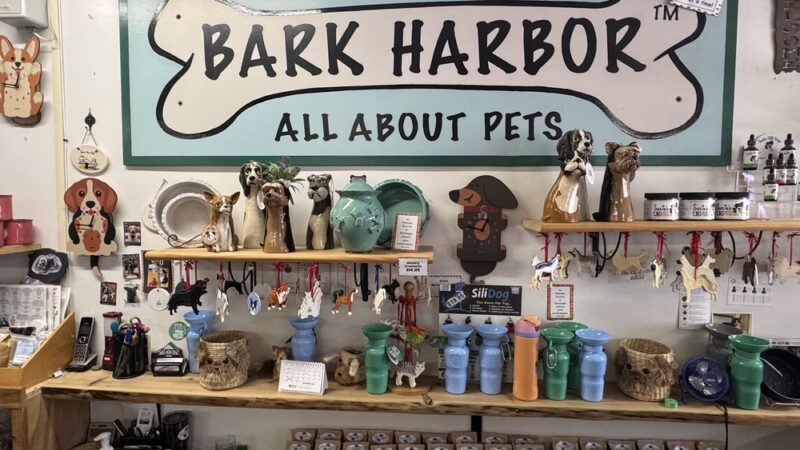 Bark Harbor - Bar Harbor, ME