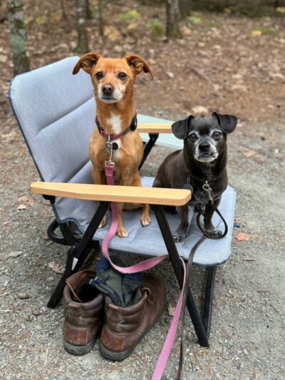 Dogs at Acadia Woods - Bar Harbor, ME