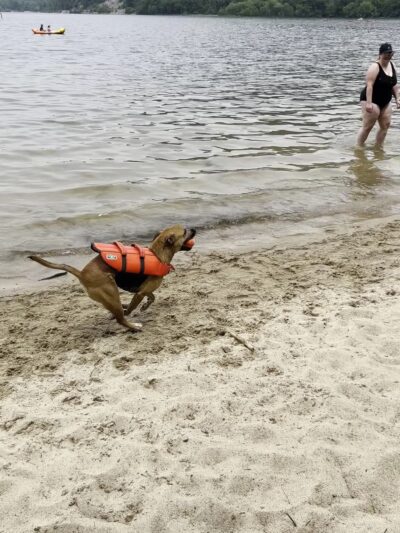 Devil's Lake Pet Swim Area - Baraboo, WI