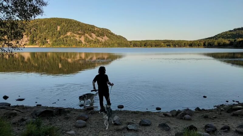 Devil's Lake Pet Swim Area - Baraboo, WI