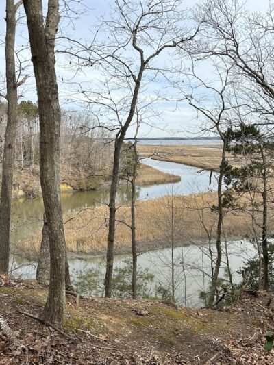 Ware Creek Wildlife Management Area - Barhamsville, VA