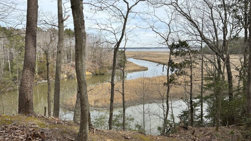 Ware Creek Wildlife Management Area - Barhamsville, VA