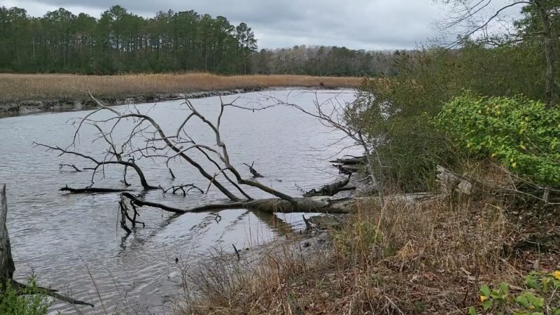 Ware Creek Wildlife Management Area - Barhamsville, VA