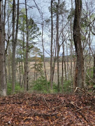 Ware Creek Wildlife Management Area - Barhamsville, VA