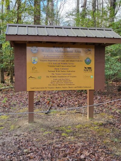 Ware Creek Wildlife Management Area - Barhamsville, VA
