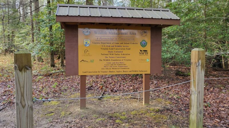 Ware Creek Wildlife Management Area - Barhamsville, VA