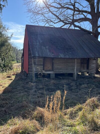 Ware Creek Wildlife Management Area - Barhamsville, VA