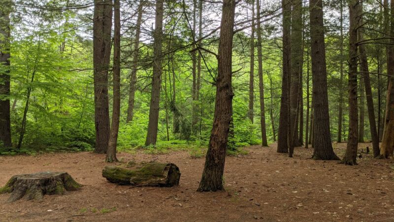 Austin Hawes Campground - Barkhamsted, CT
