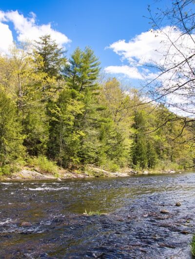 Austin Hawes Campground - Barkhamsted, CT