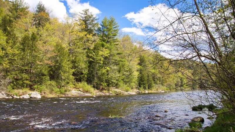Austin Hawes Campground - Barkhamsted, CT