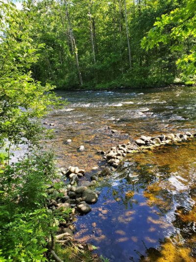 Matthies Grove - Barkhamsted, CT