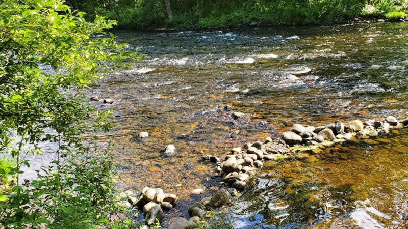 Matthies Grove - Barkhamsted, CT