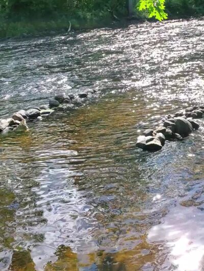 Matthies Grove - Barkhamsted, CT