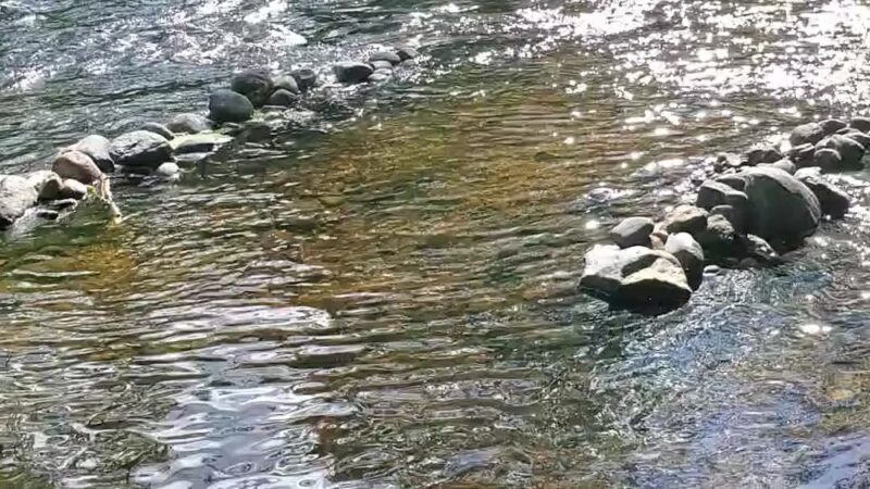 Matthies Grove - Barkhamsted, CT